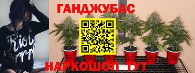 spice Краснодар