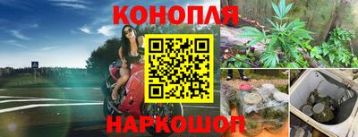 spice Краснодар