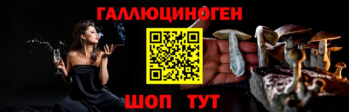 как найти   Галлюциногенные грибы GOLDEN TEACHER  Вход с VPN  Зерноград 
